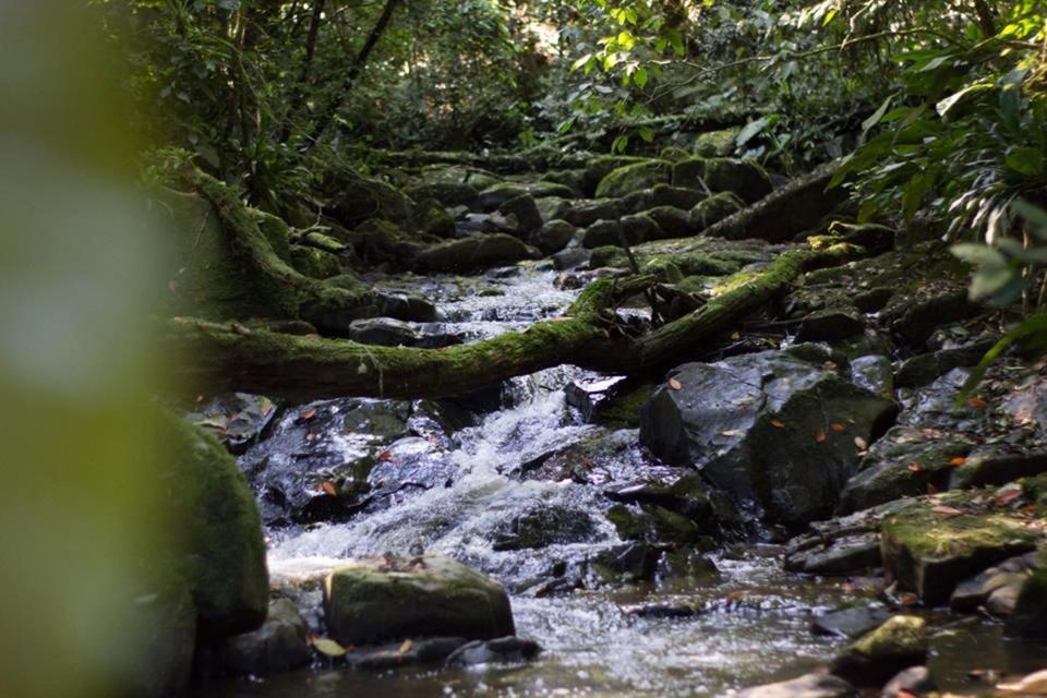 Pousada Bergen Huetten Rio Fortuna Экстерьер фото